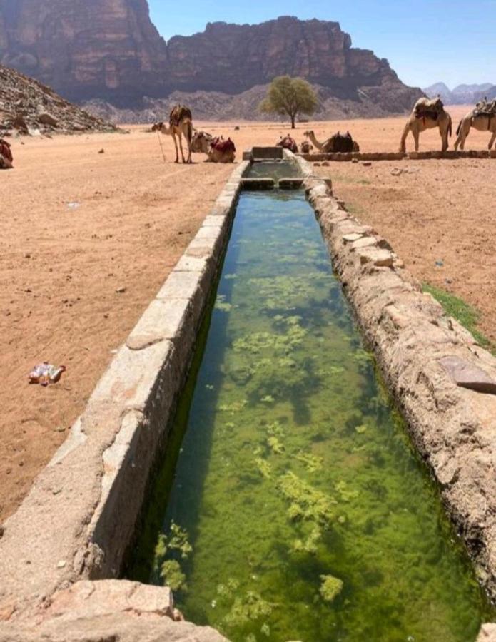 Moon City With Jeep Trips Wadi Rum Exterior photo